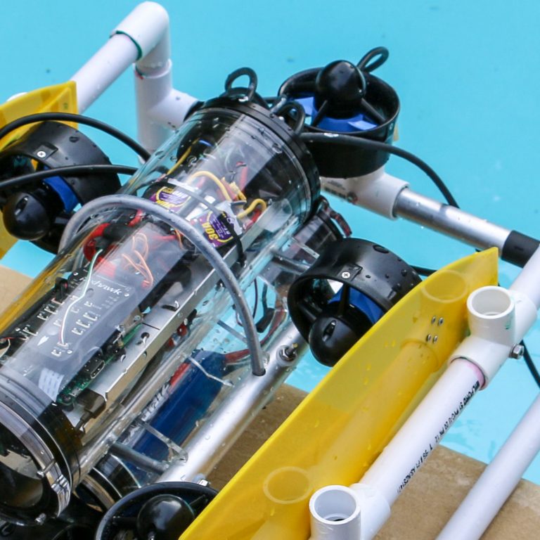 Read more about the article Robosub passes testing