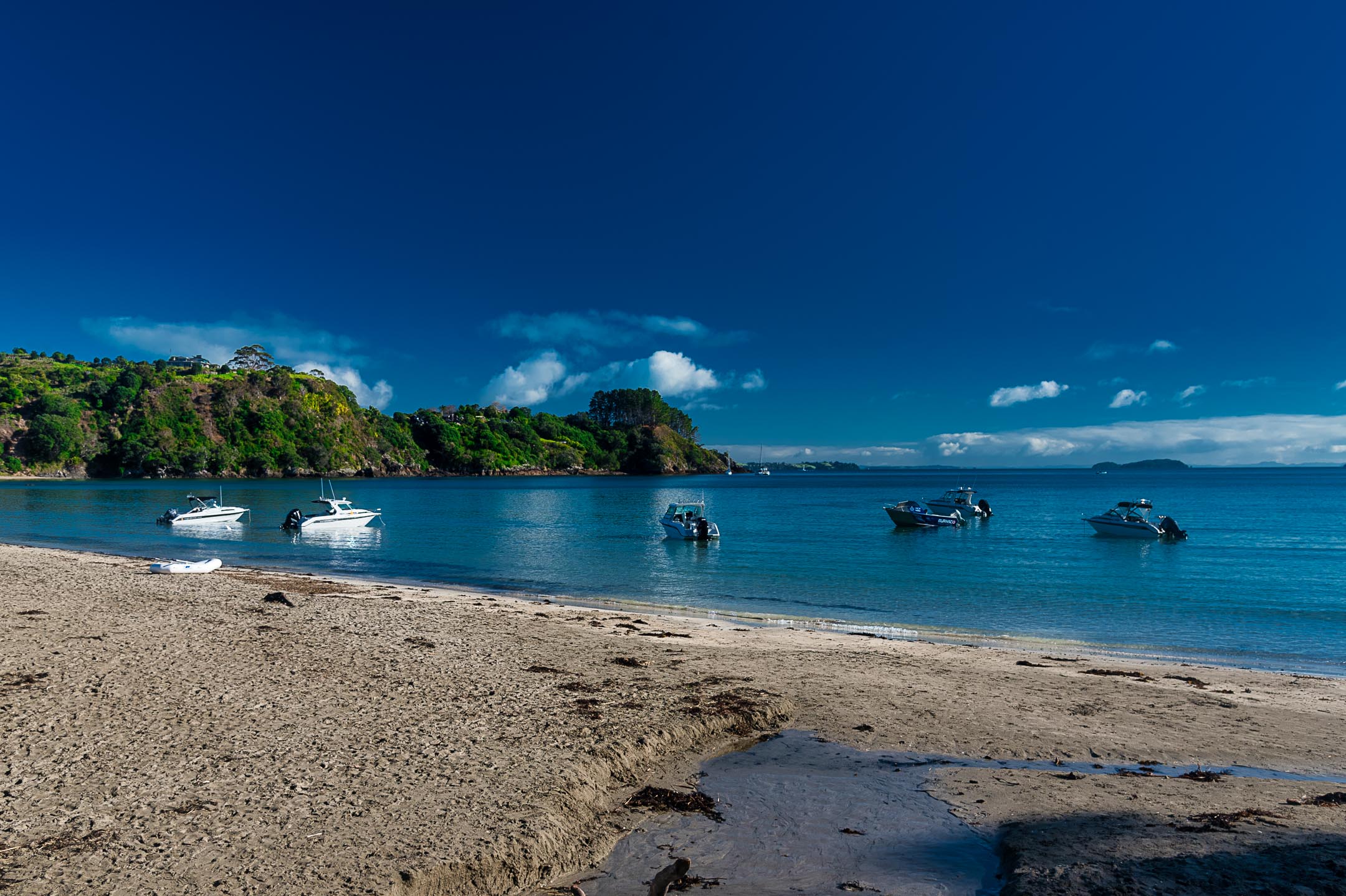 Read more about the article A boat trip to Waiheke