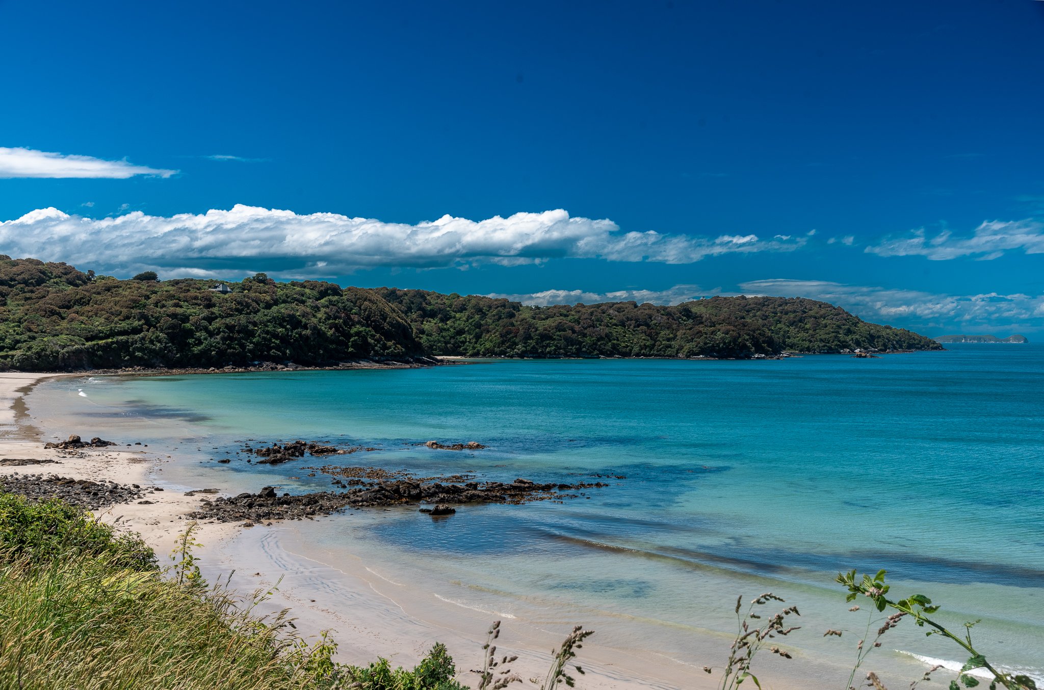 Read more about the article Stewart Island